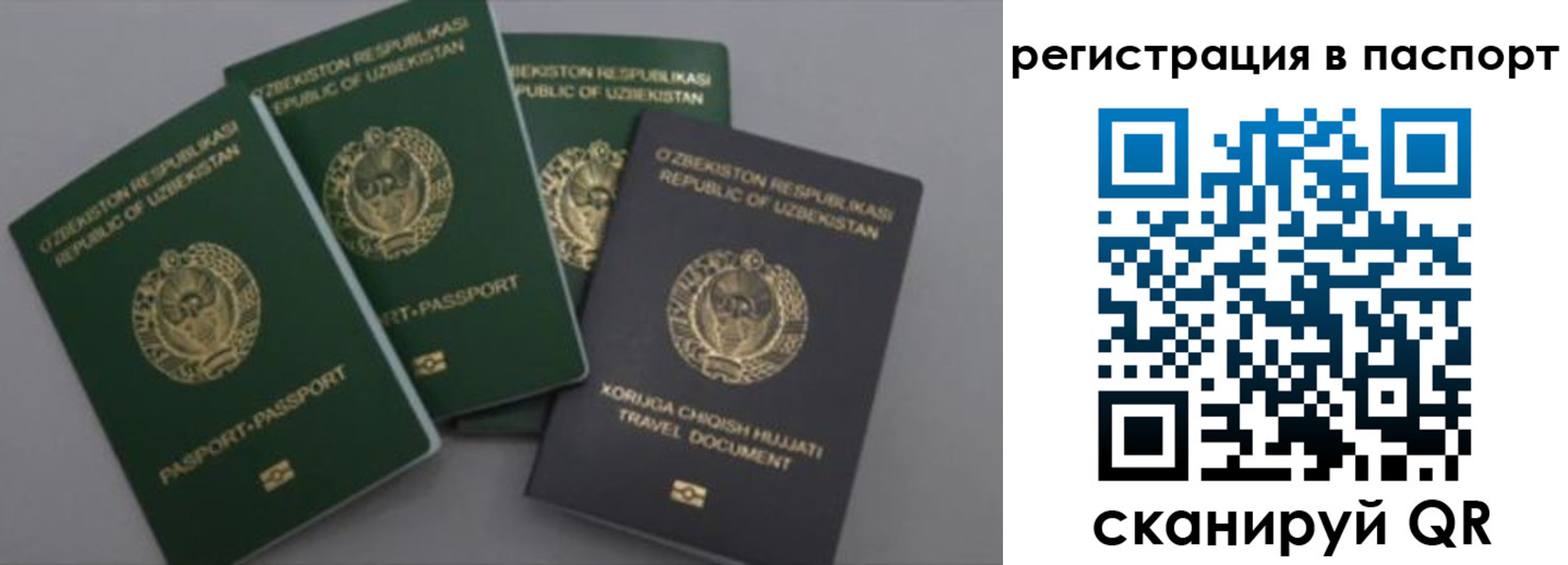 прописка от собственника в Талдоме